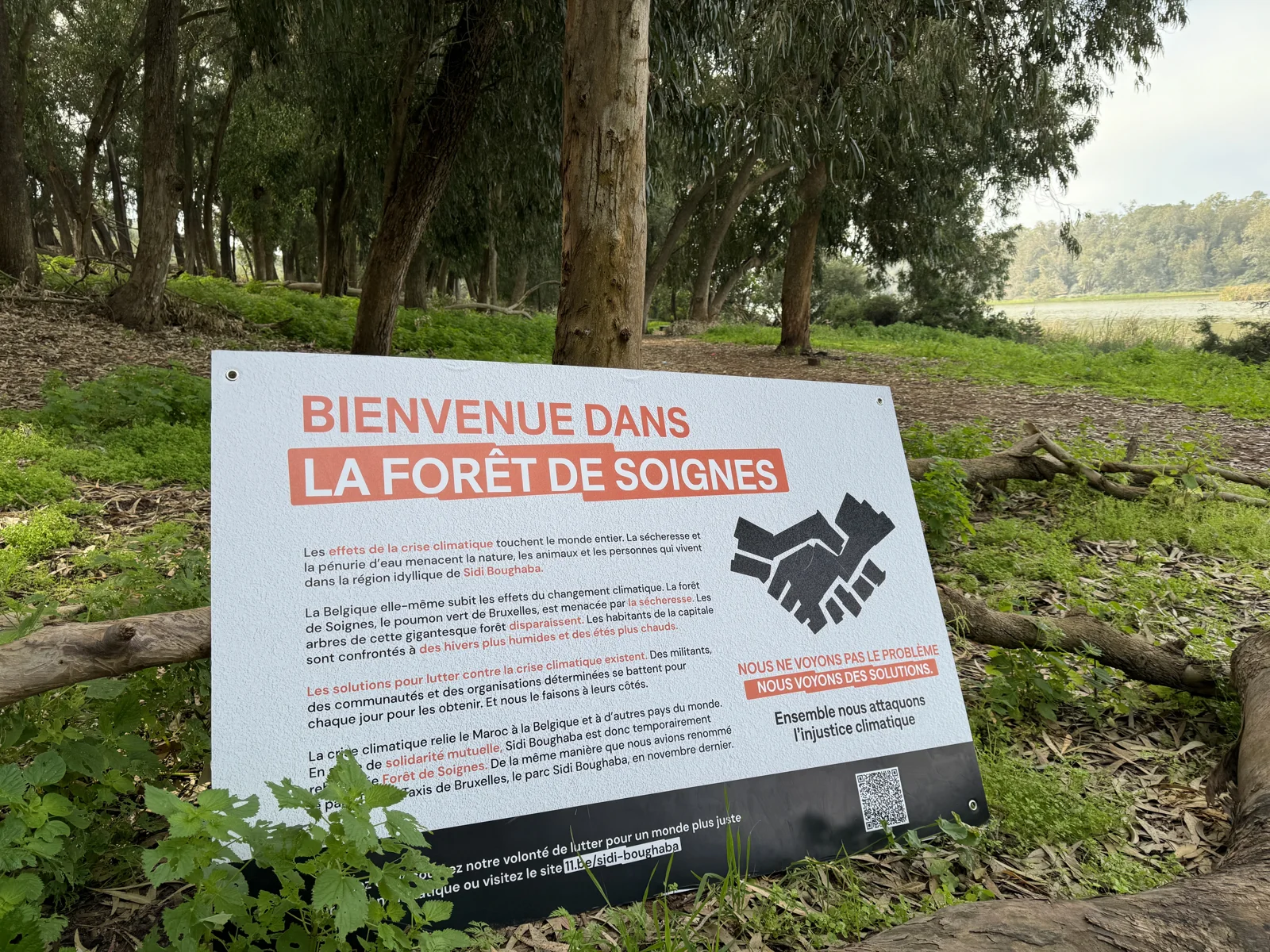 Un panneau placé devant une forêt souhaite la bienvenue aux visiteurs dans la forêt de Soignes.