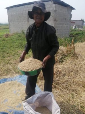 A woman holds a bowl of rice in her hands over a bag